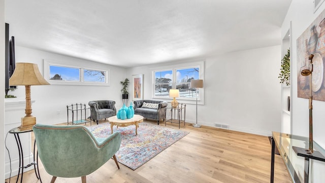 living room with light hardwood / wood-style flooring and a wealth of natural light