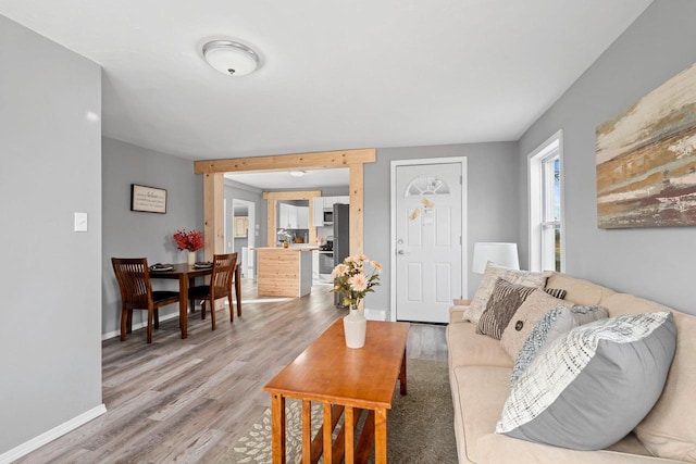 living room featuring hardwood / wood-style flooring