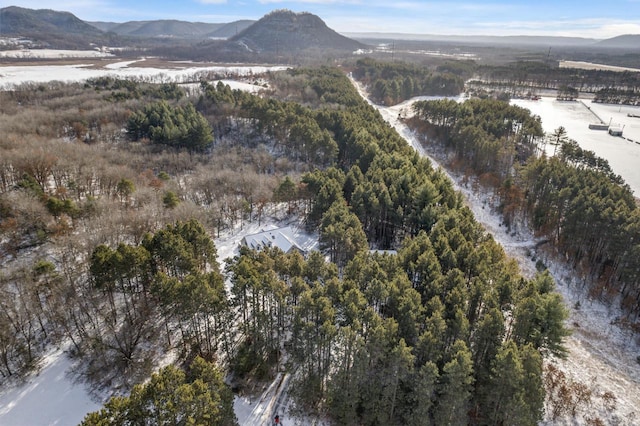 bird's eye view featuring a mountain view