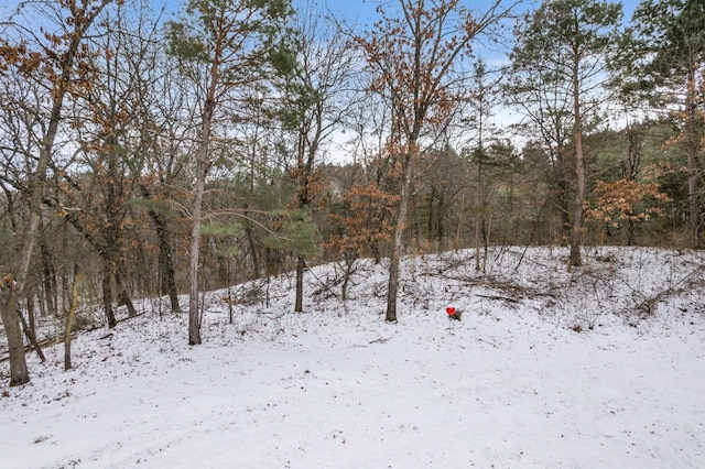 view of snowy landscape