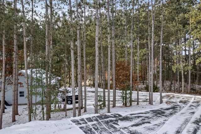 view of snow covered land