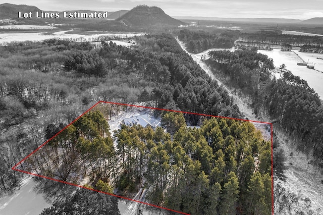 snowy aerial view featuring a mountain view