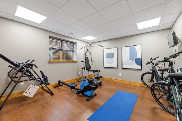 exercise room featuring wood-type flooring and a paneled ceiling