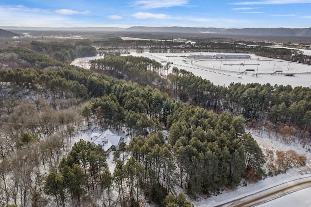 birds eye view of property featuring a mountain view