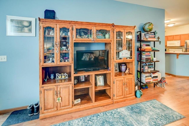 living room featuring light hardwood / wood-style flooring