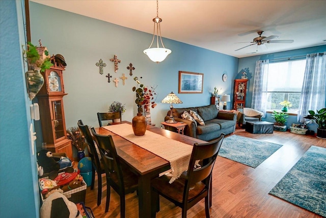 dining space with ceiling fan and light wood-type flooring