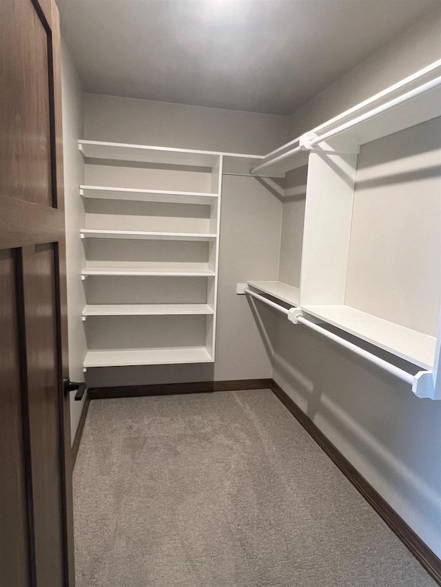 spacious closet featuring carpet flooring