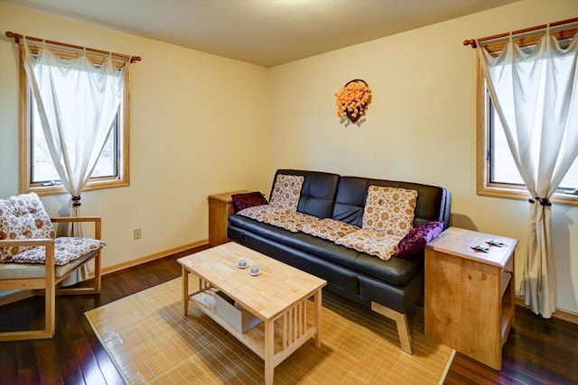 living room with wood-type flooring and a wealth of natural light