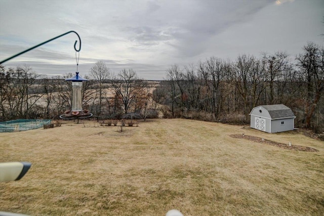 view of yard featuring a storage unit