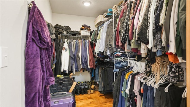 spacious closet featuring hardwood / wood-style floors