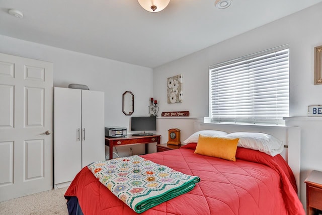 bedroom with carpet floors