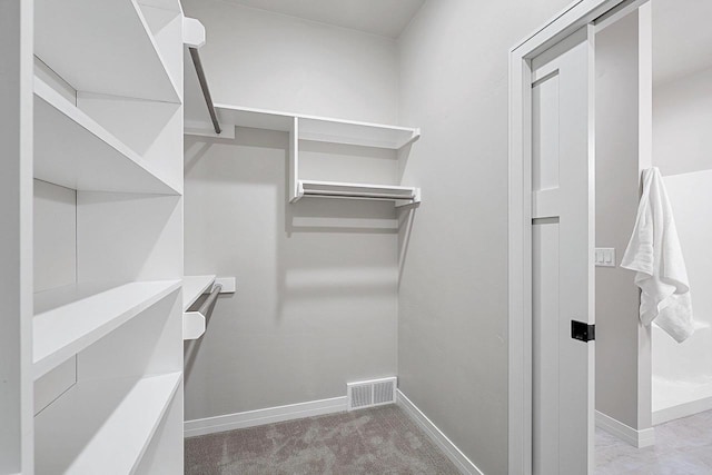 spacious closet with light carpet