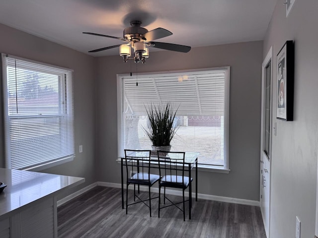 dining room with ceiling fan, a wealth of natural light, and dark hardwood / wood-style flooring