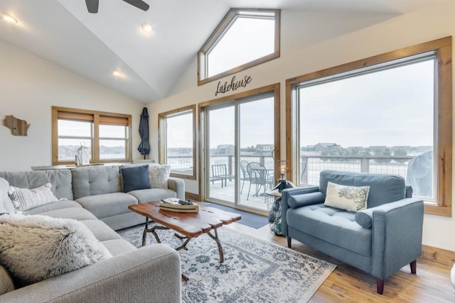 living room with high vaulted ceiling, a wealth of natural light, and light hardwood / wood-style floors