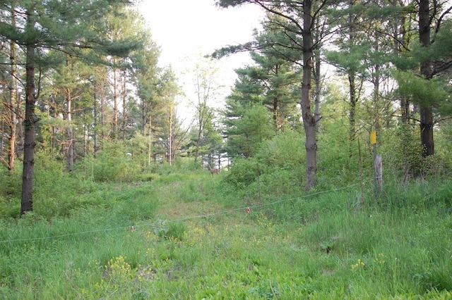 Listing photo 2 for 11ACRE Fiddlers Green Rd, Richland Center WI 53581