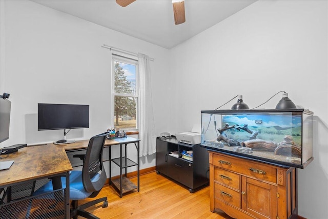 office featuring ceiling fan and light hardwood / wood-style floors