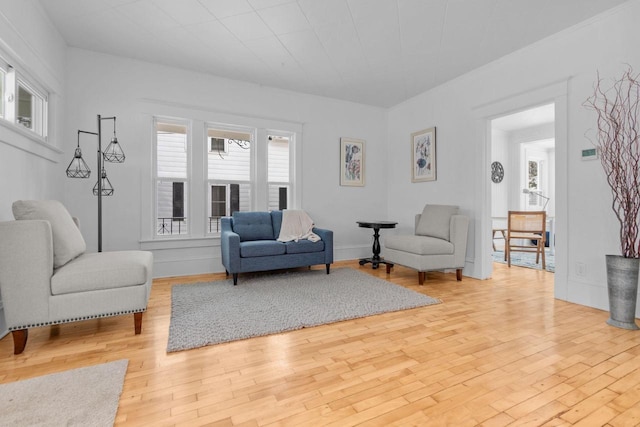 living room with light hardwood / wood-style flooring