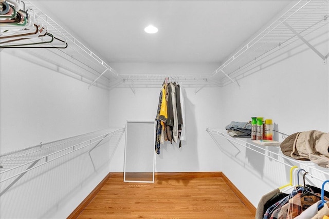 spacious closet with wood-type flooring