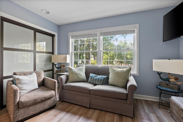 living room featuring hardwood / wood-style floors