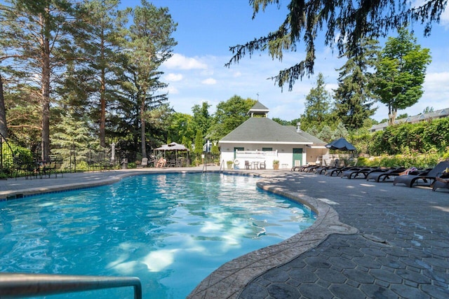 view of pool featuring a patio