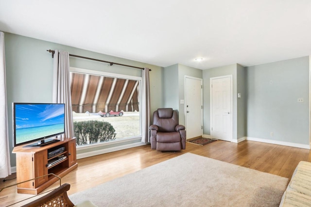 living room with light hardwood / wood-style flooring