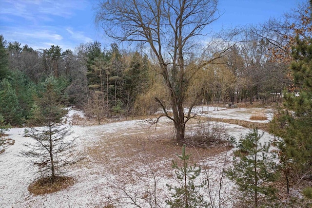 view of snow covered land