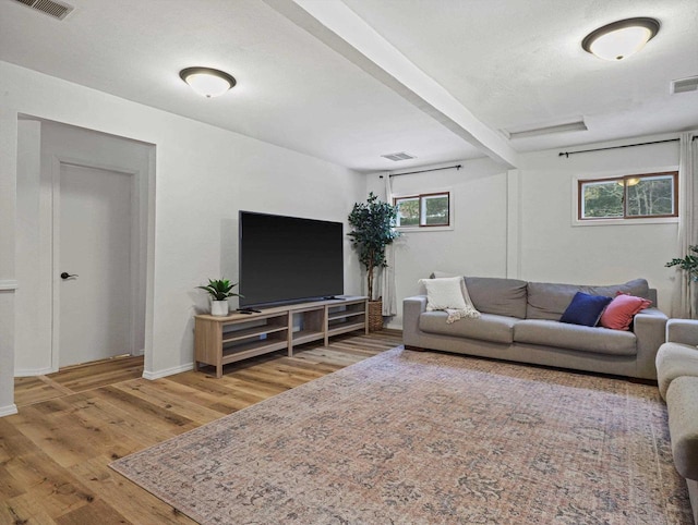 living room featuring hardwood / wood-style floors