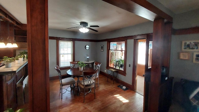 dining space with hardwood / wood-style floors and ceiling fan