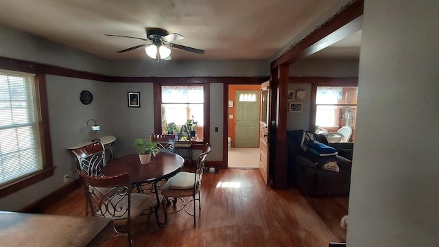 dining room with ceiling fan and hardwood / wood-style floors