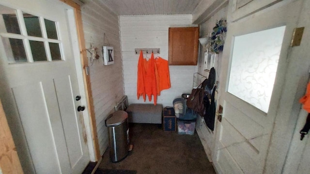 bathroom with wooden walls