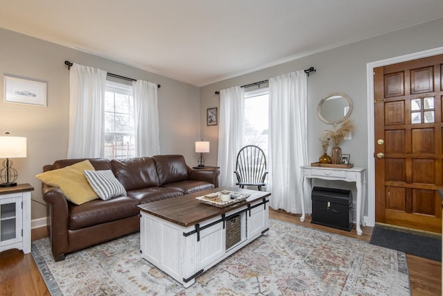 living room featuring light hardwood / wood-style floors and a healthy amount of sunlight