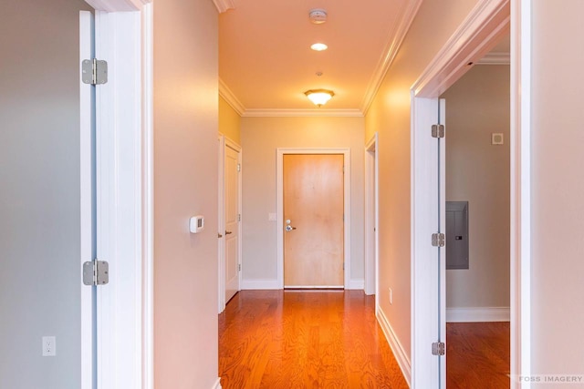 hall featuring crown molding and hardwood / wood-style floors