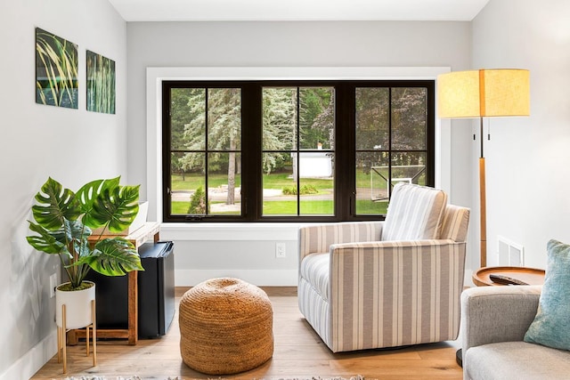 sitting room featuring a wealth of natural light and light wood-type flooring