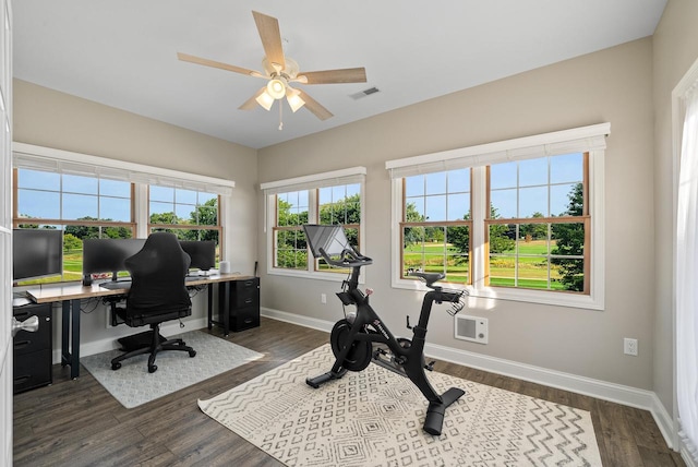 office featuring ceiling fan and dark hardwood / wood-style floors