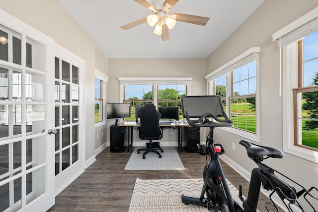 office space with ceiling fan and dark hardwood / wood-style flooring