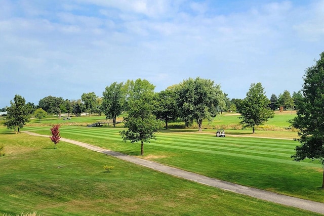 view of community with a lawn