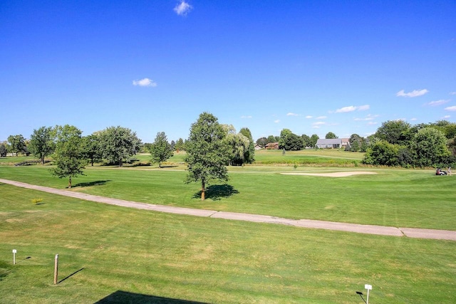 view of community featuring a lawn