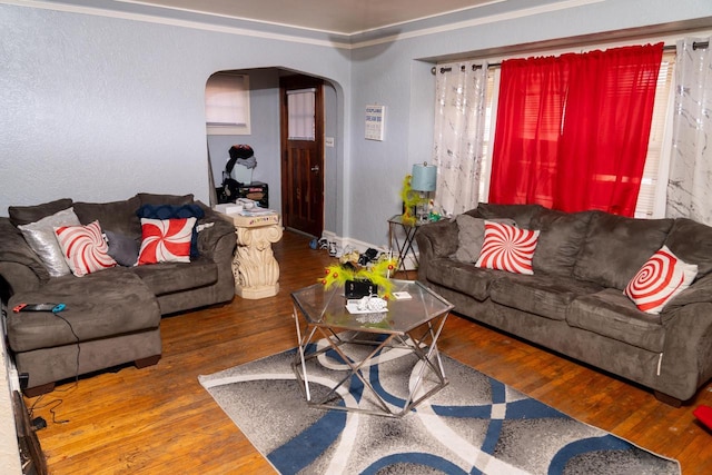 living room featuring hardwood / wood-style floors