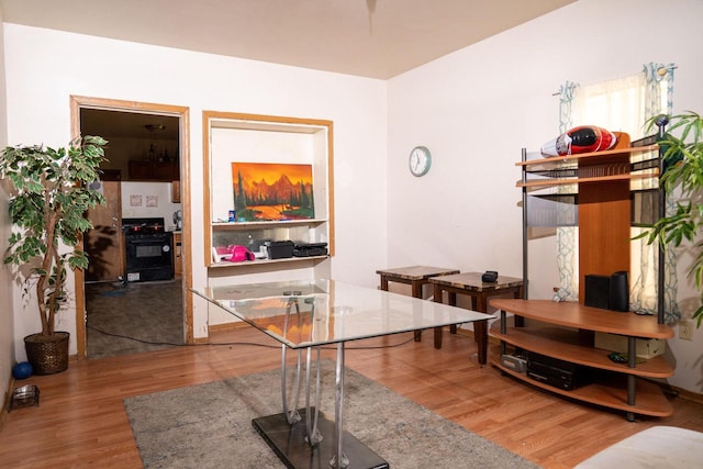 interior space with wood-type flooring