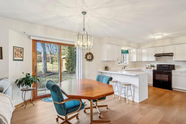 dining area with sink, light hardwood / wood-style floors, and a chandelier