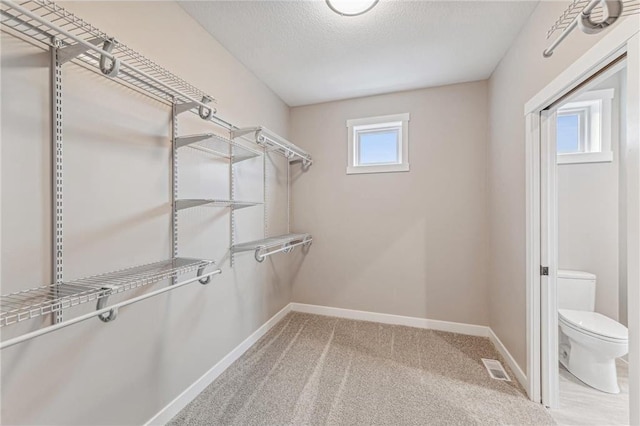 spacious closet featuring carpet floors