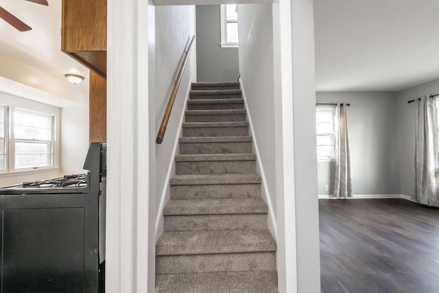 stairs featuring hardwood / wood-style flooring, a healthy amount of sunlight, and ceiling fan