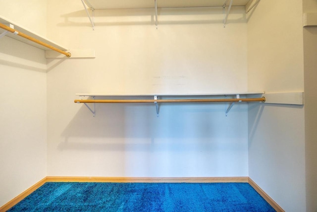 spacious closet featuring carpet