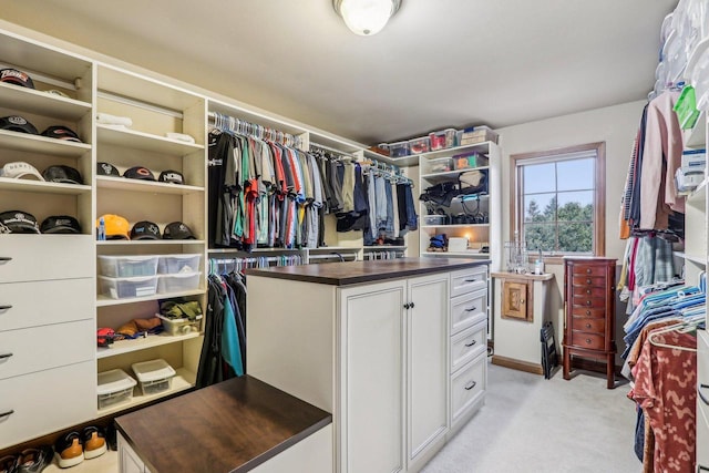 walk in closet with light carpet