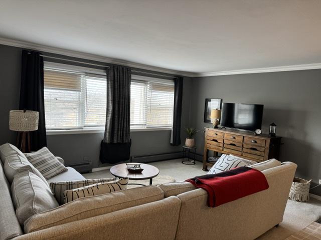 carpeted living room featuring crown molding and a baseboard radiator