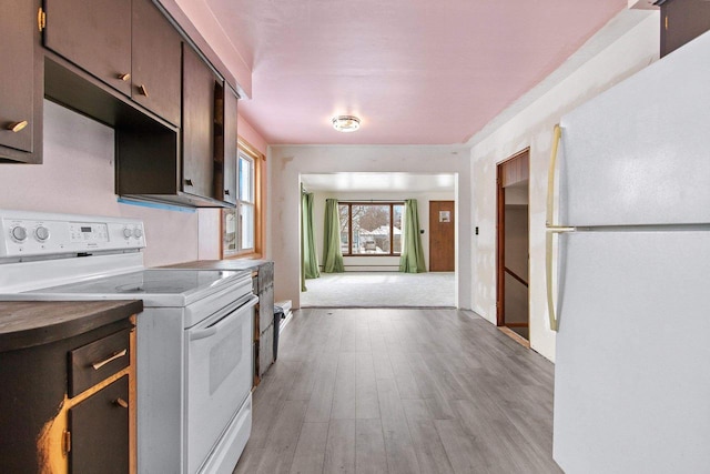 kitchen with white appliances, light hardwood / wood-style floors, and dark brown cabinets