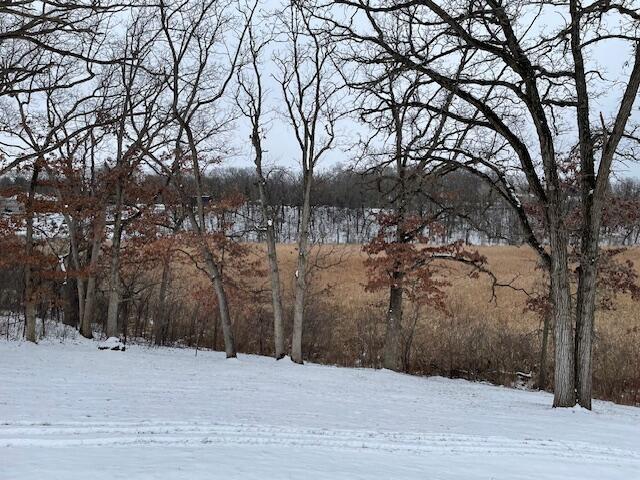 view of snowy view