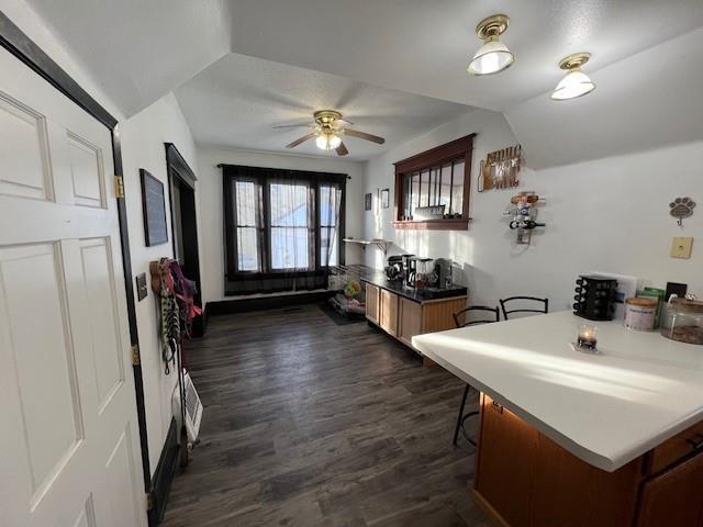 kitchen with dark wood-type flooring, ceiling fan, and vaulted ceiling