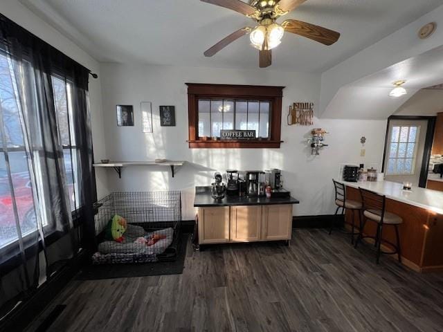 bar with ceiling fan, plenty of natural light, and dark hardwood / wood-style flooring