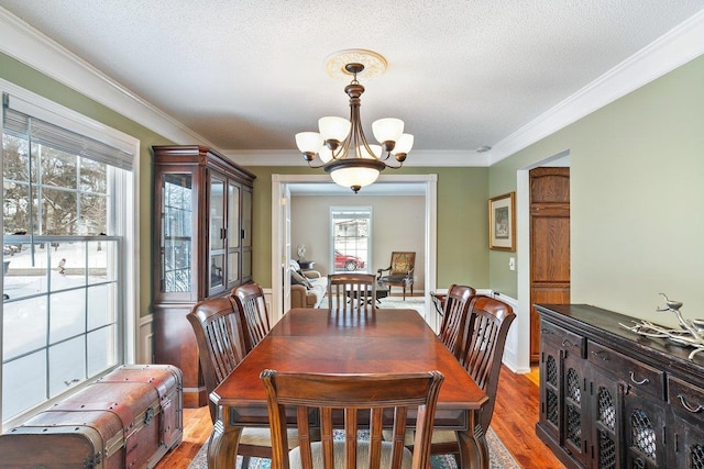 dining room with wood-type flooring, crown molding, a textured ceiling, and an inviting chandelier